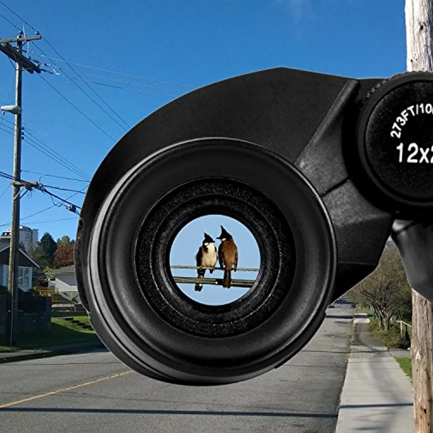 12x25 Compact Binoculars with Clear Low Light Vision