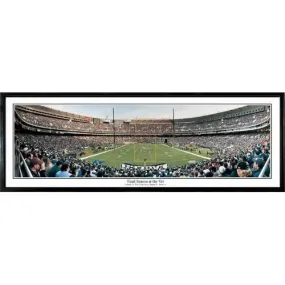 Philadelphia Eagles Final Season At The Vet" - 13.5"x39" Standard Black Frame"